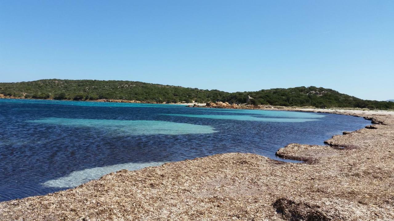 Casa Vacanze Della Maddalena 外观 照片